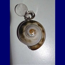 pendant..shell